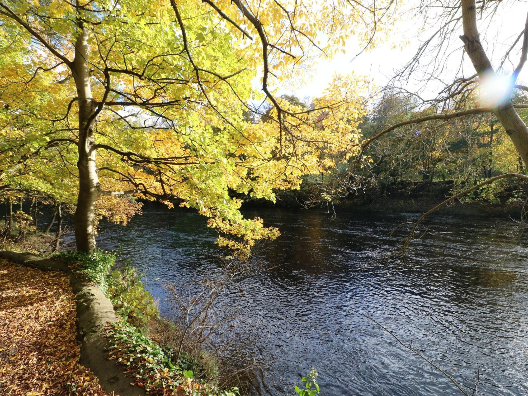 King'S Cottage Crakehall エクステリア 写真